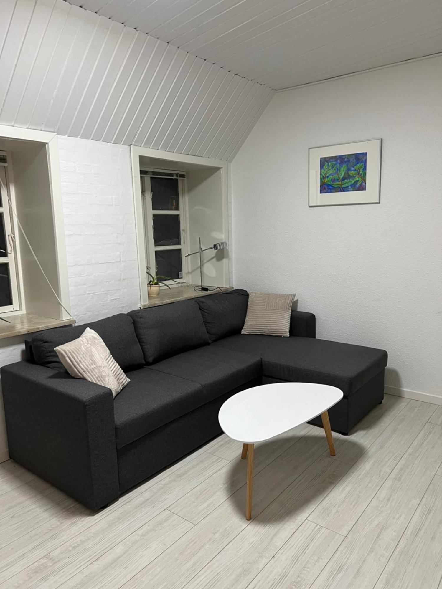 Apartment With Wifi, Close To City Center, Beach And Forrest Aabenraa Buitenkant foto