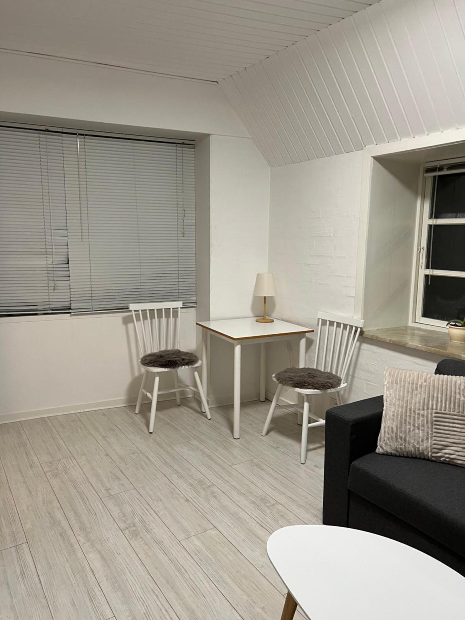 Apartment With Wifi, Close To City Center, Beach And Forrest Aabenraa Buitenkant foto